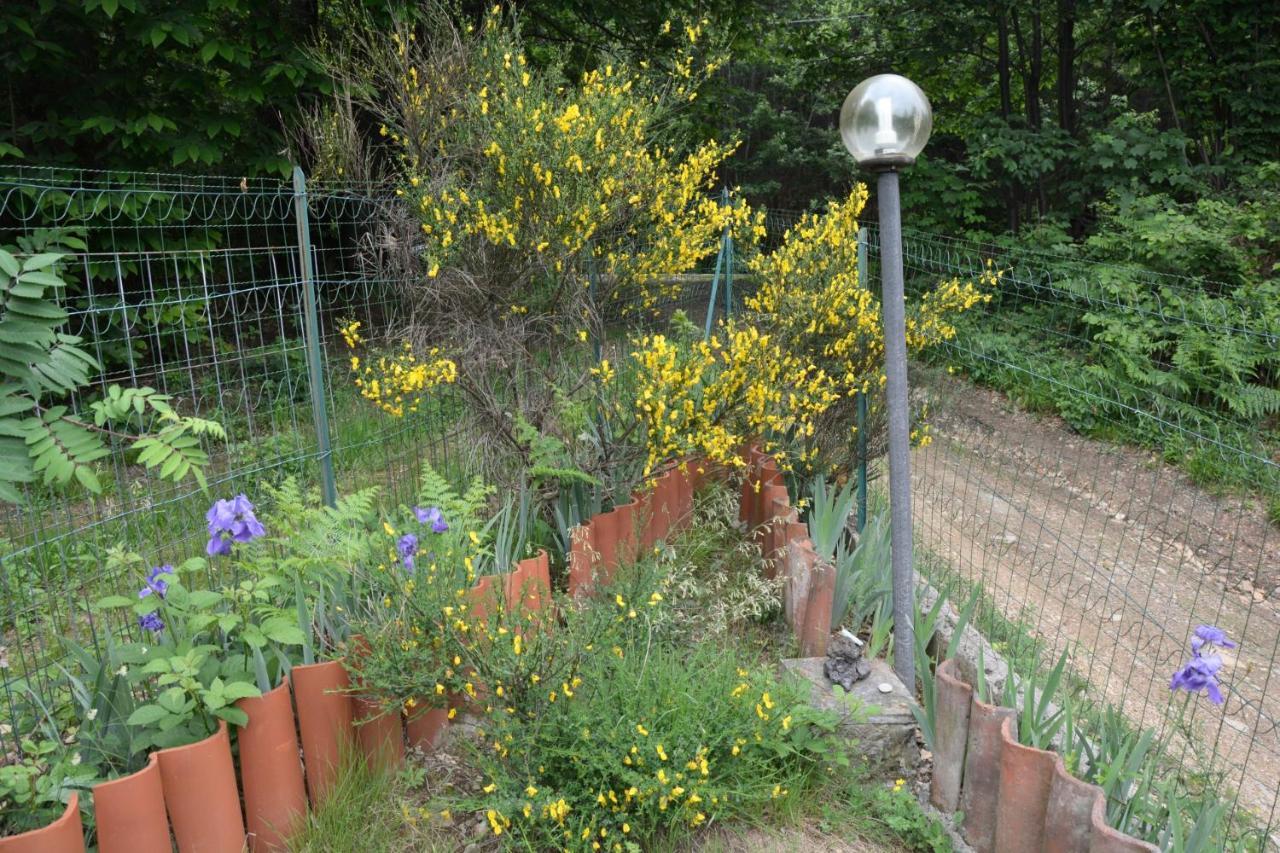 Casa Omnia B&B Castellamonte Kültér fotó